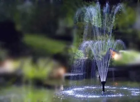 Sauces אורחן 2*