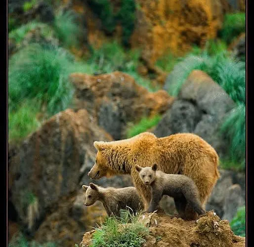 Mini-hôtel Sauces 2*